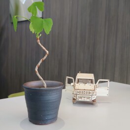 「 1科1属1種 」